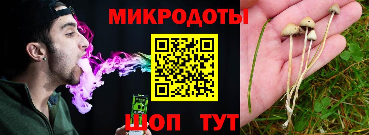 Псилоцибиновые грибы Cubensis  Вход с VPN  Обнинск 