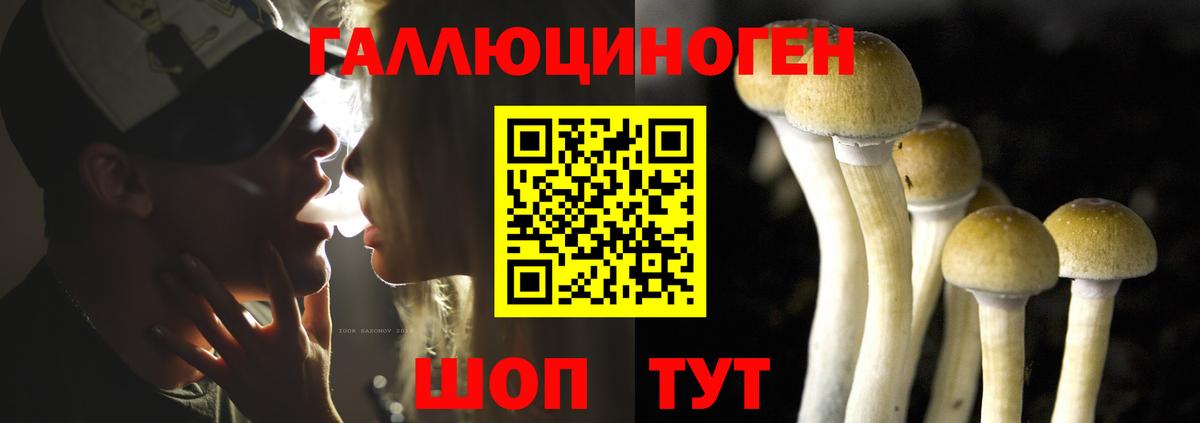 Галлюциногенные грибы Magic Shrooms Обнинск